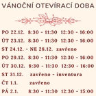 náhledový obrázek ke článku Vánoční otevírací doba